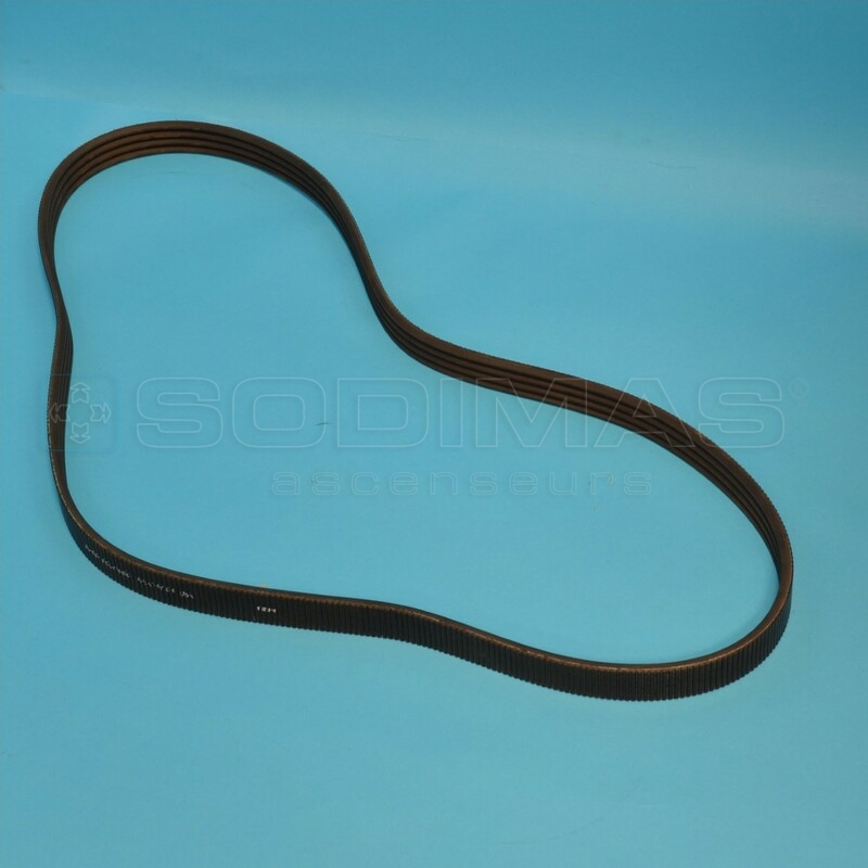 Courroie main courante GCA717D1 pour escalator 506 NCE - compatible