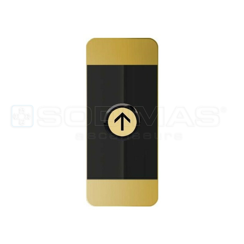 Boite palière Black Pad -V2 OR- 1 bouton flèche montée