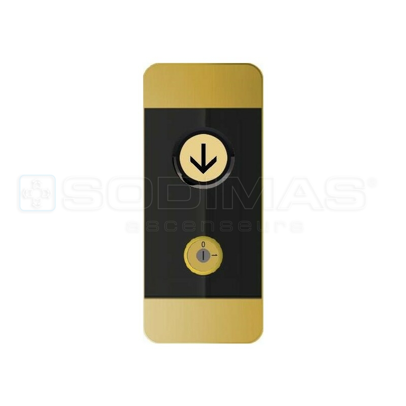 Boite palière Black Pad-V2 OR - 1 bouton descente , duplex + 1 C/C