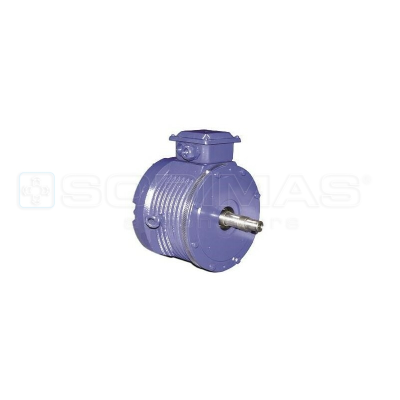 Moteur Synchrone TS200T V2/V3